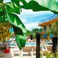 Image of Nadi Bay Resort Hotel