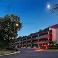 Image of Red Roof Inn PLUS+ Washington DC - Alexandria 