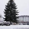 Photo of Saskatoon Inn Hotel & Conference Centre