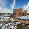 Photo of The Landing at Hampton Marina Tapestry Collection by Hilton