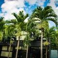 Image of Urban Bacalar Hotel by Mij