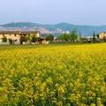 Photo of Valle di Assisi Country Apartments