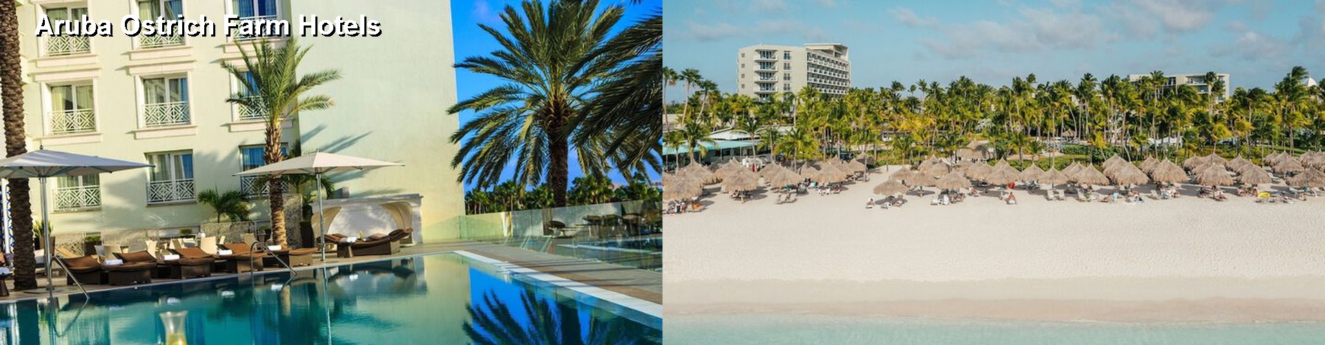 5 Best Hotels near Aruba Ostrich Farm