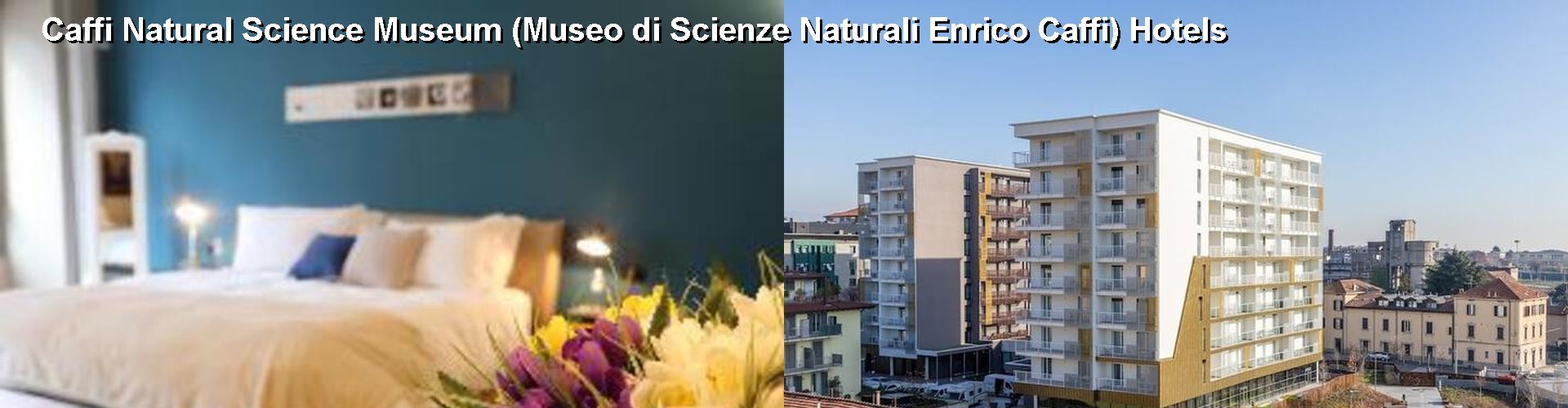 5 Best Hotels near Caffi Natural Science Museum (Museo di Scienze Naturali Enrico Caffi)