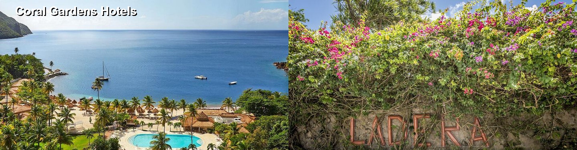 5 Best Hotels near Coral Gardens