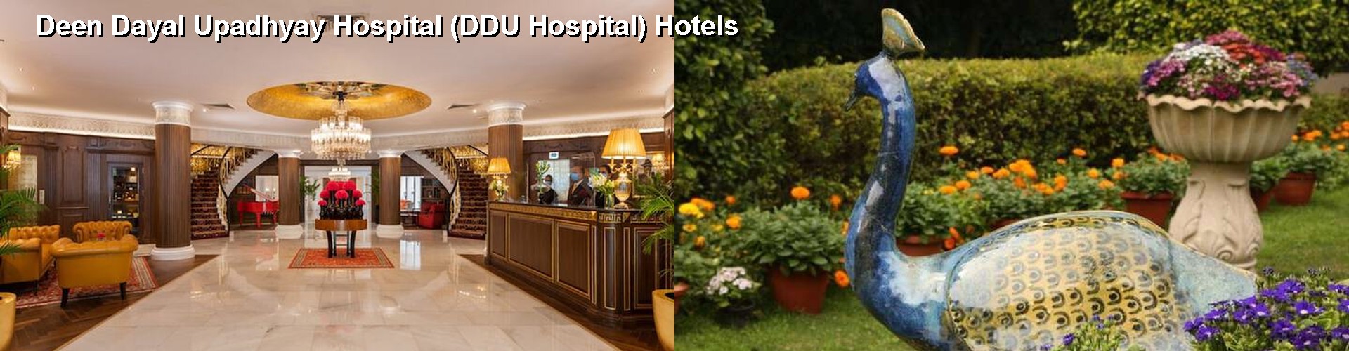 5 Best Hotels near Deen Dayal Upadhyay Hospital (DDU Hospital)
