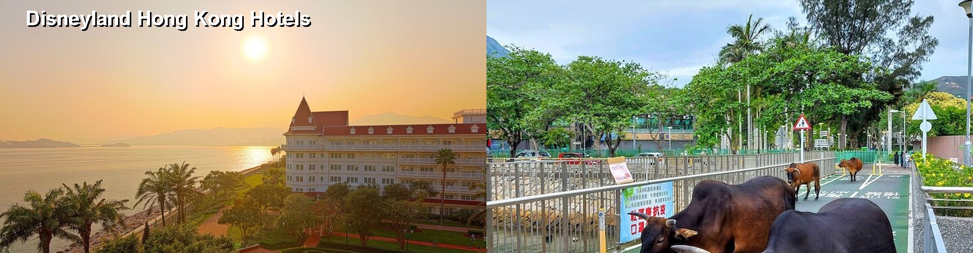 5 Best Hotels near Disneyland Hong Kong