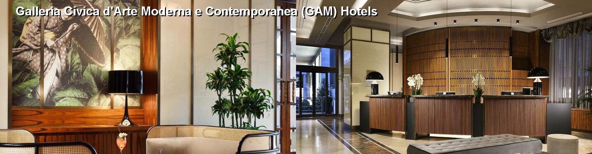5 Best Hotels near Galleria Civica d'Arte Moderna e Contemporanea (GAM)