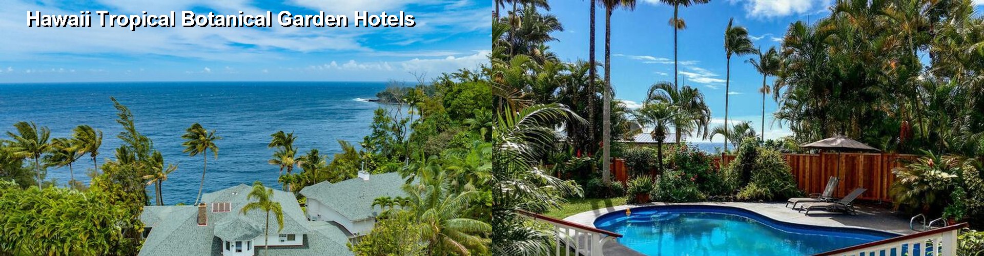 4 Best Hotels near Hawaii Tropical Botanical Garden