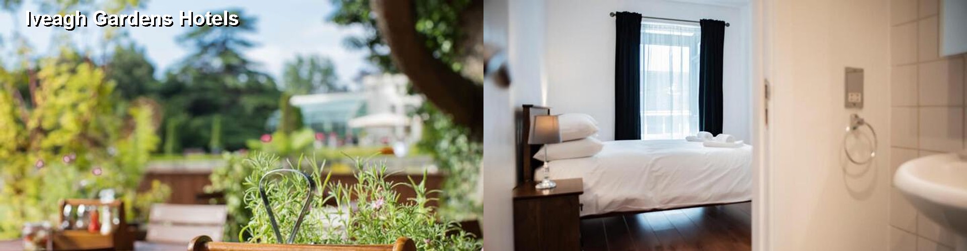 5 Best Hotels near Iveagh Gardens