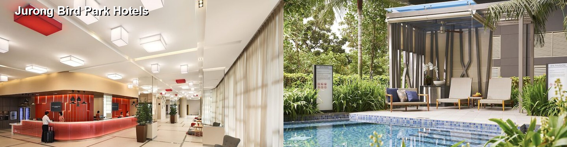 4 Best Hotels near Jurong Bird Park