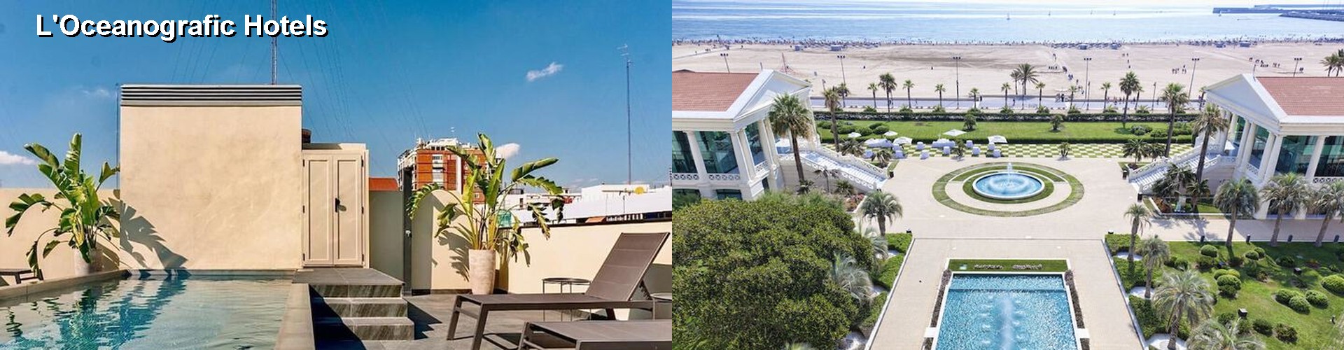 5 Best Hotels near L'Oceanografic