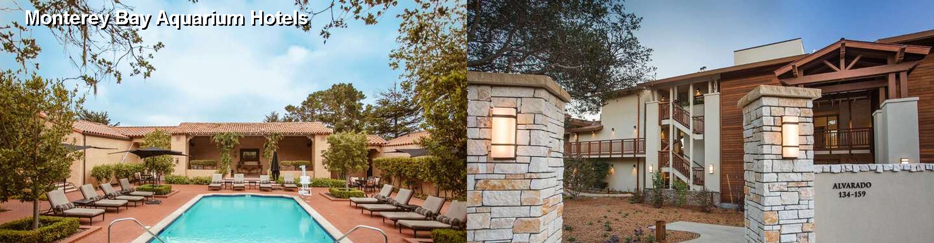 5 Best Hotels near Monterey Bay Aquarium