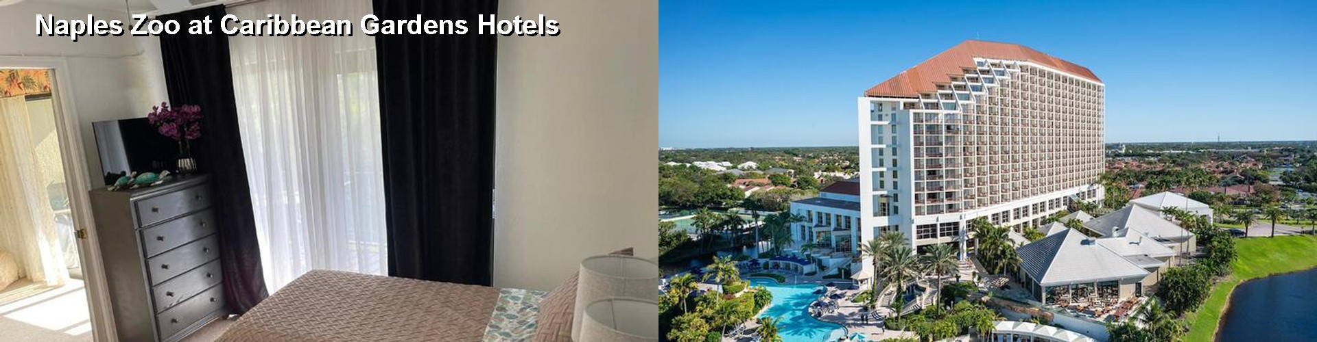 5 Best Hotels near Naples Zoo at Caribbean Gardens