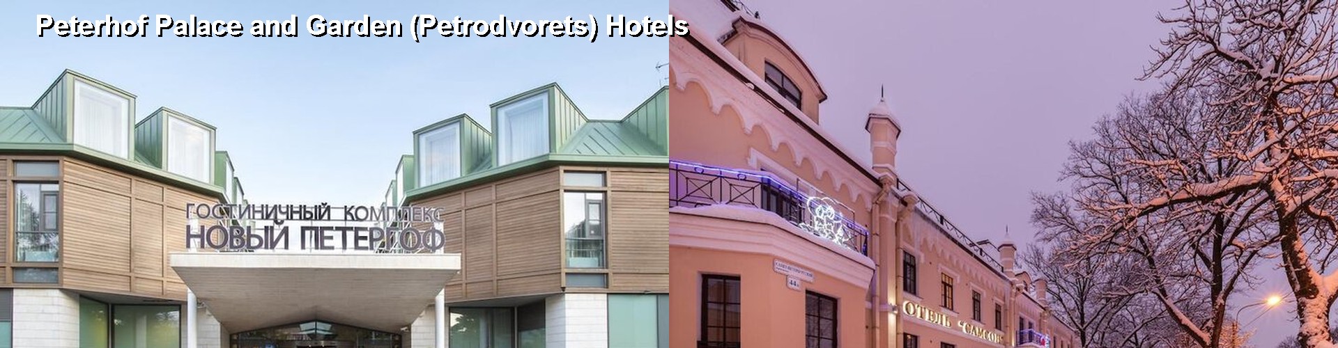 5 Best Hotels near Peterhof Palace and Garden (Petrodvorets)