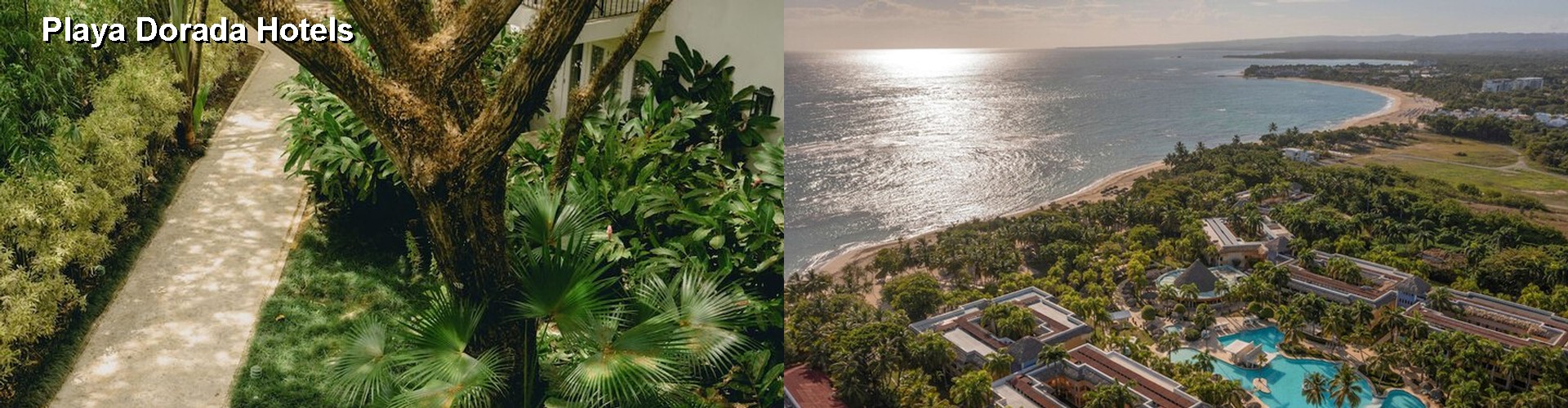 5 Best Hotels near Playa Dorada