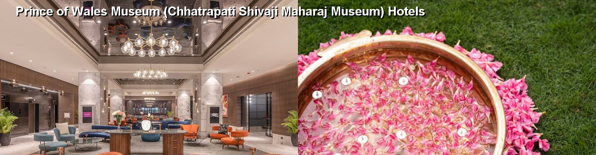 5 Best Hotels near Prince of Wales Museum (Chhatrapati Shivaji Maharaj Museum)