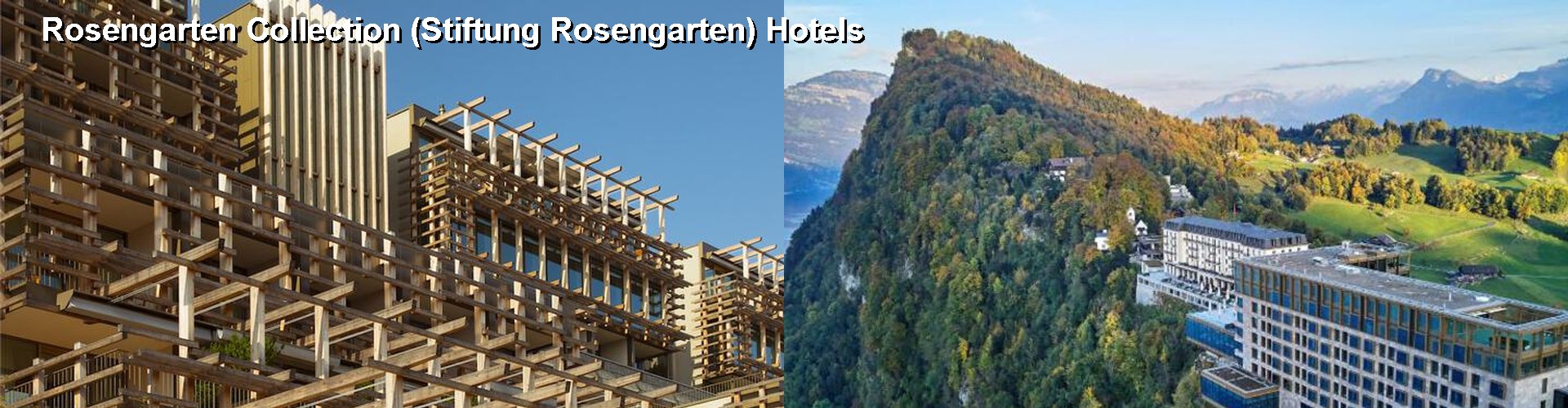 5 Best Hotels near Rosengarten Collection (Stiftung Rosengarten)