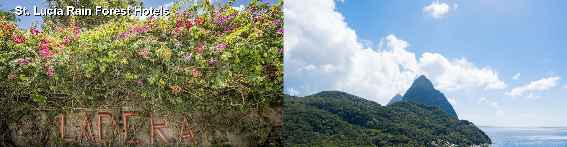 5 Best Hotels near St. Lucia Rain Forest