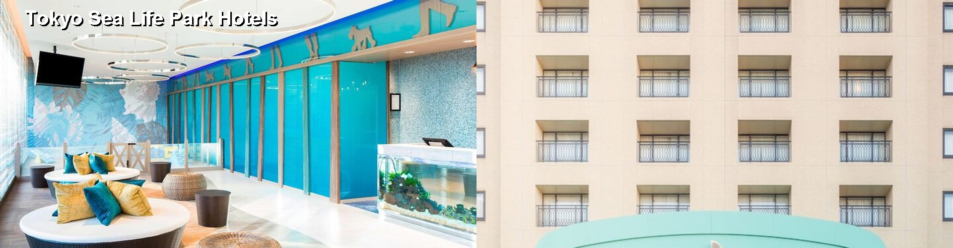 5 Best Hotels near Tokyo Sea Life Park
