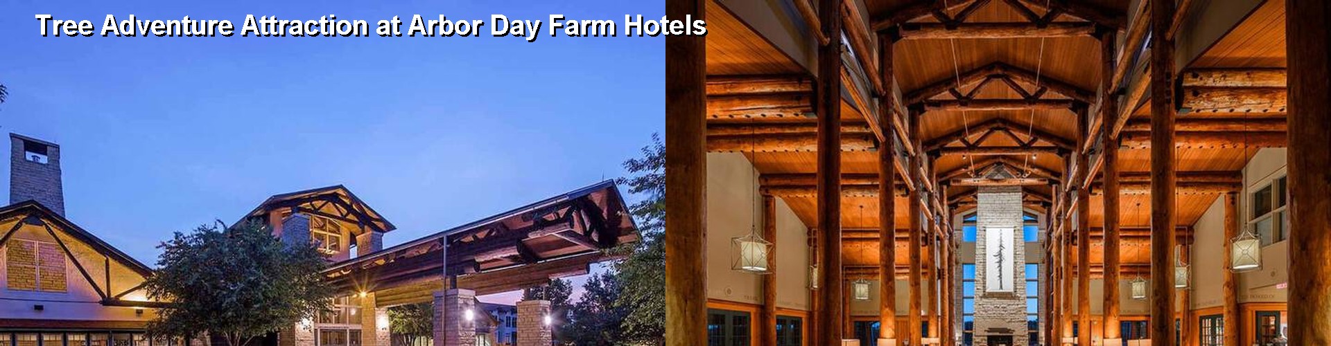 4 Best Hotels near Tree Adventure Attraction at Arbor Day Farm