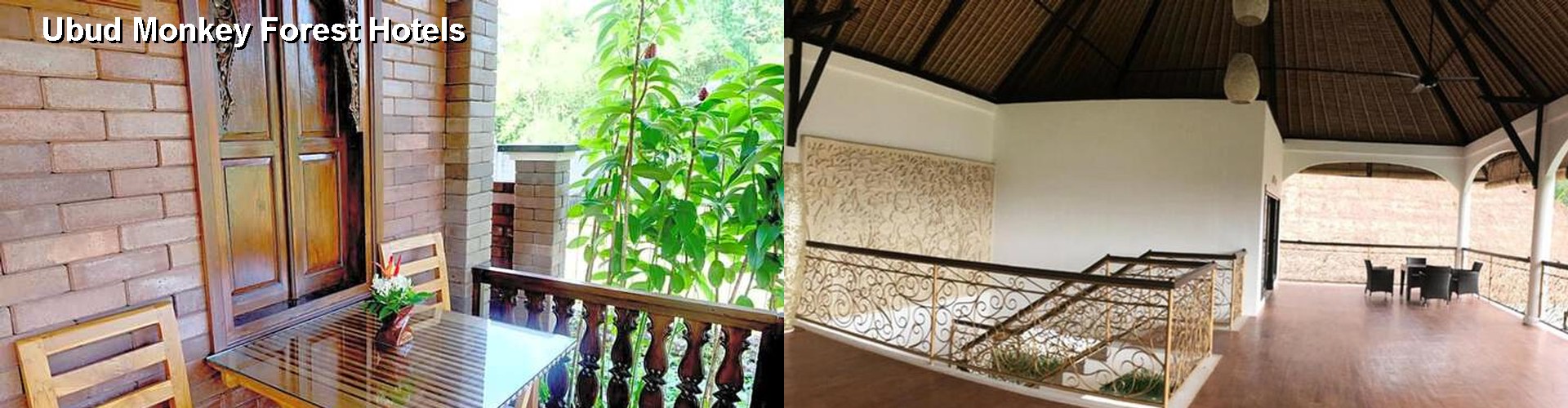 5 Best Hotels near Ubud Monkey Forest