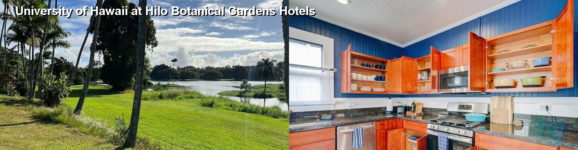 4 Best Hotels near University of Hawaii at Hilo Botanical Gardens