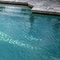 Pool image of Hilton Garden Inn Shelton