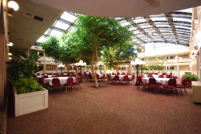 Photo of Poolside Atrium