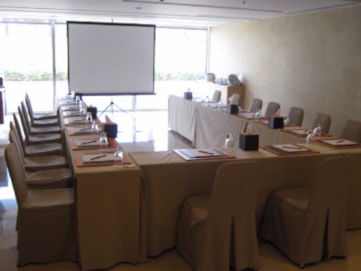 Photo of Ayla Meeting Room