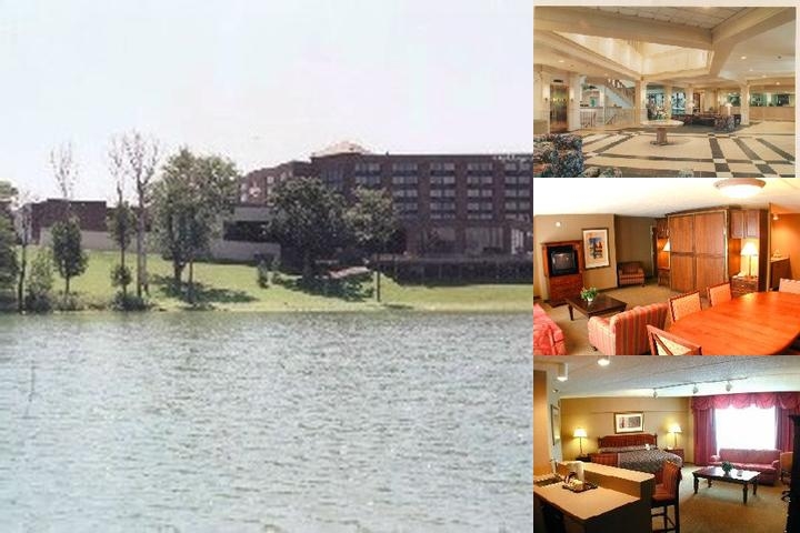 Holiday Inn Chicago Nw Crystal Lk Convention Cente photo collage