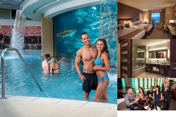 Golden Nugget Hotel & Casino photo collage
