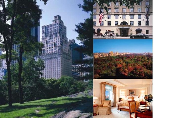 The Ritz Carlton New York Central Park photo collage