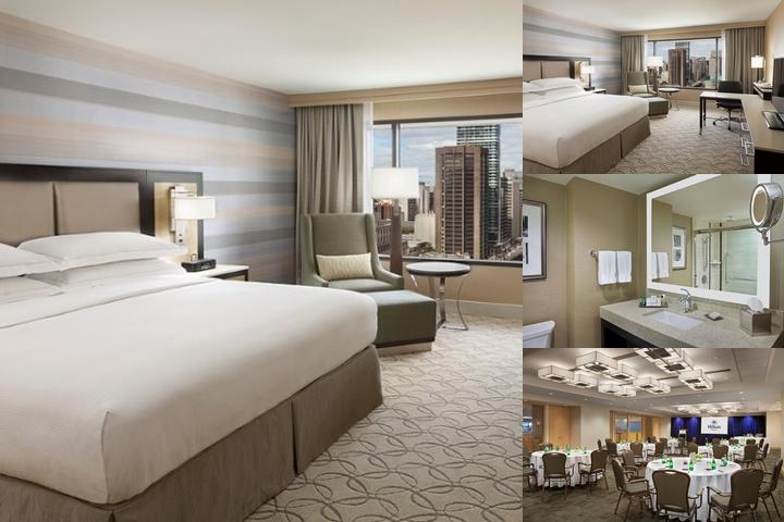 Hilton Toronto photo collage