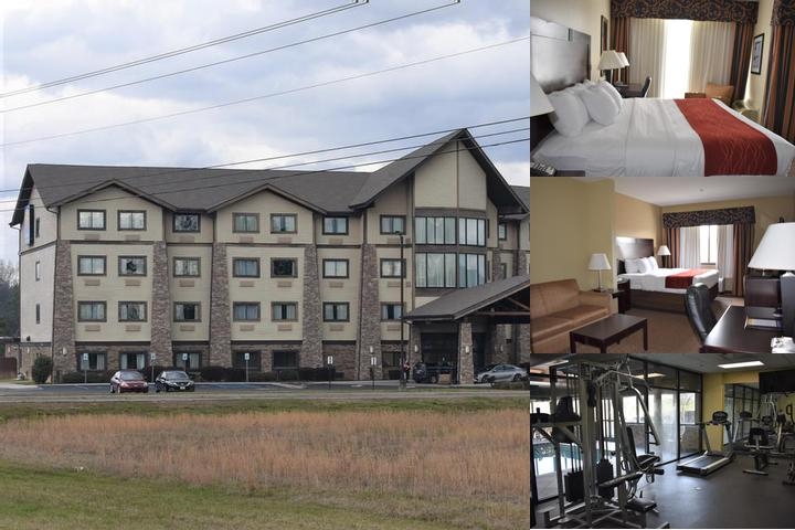 Comfort Inn and Suites Near Lake Guntersville photo collage
