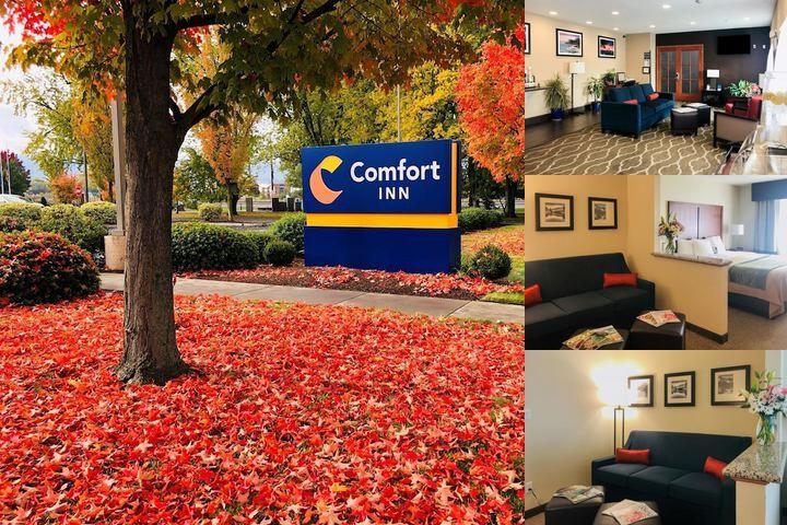 Comfort Inn South photo collage