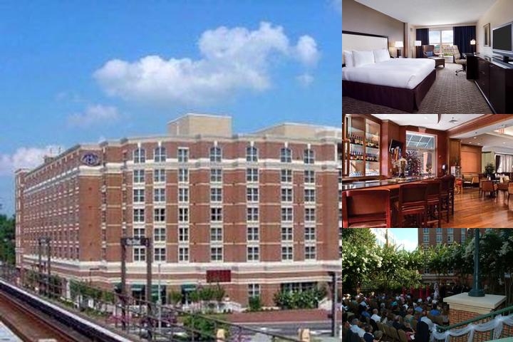 Hilton Alexandria Old Town photo collage