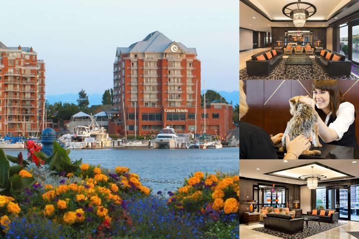 Coast Victoria Hotel & Marina by Apa photo collage