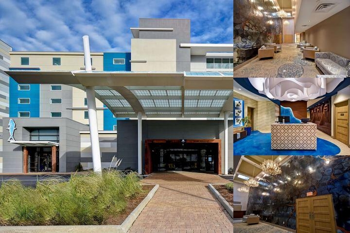 Doubletree by Hilton Virginia Beach Oceanfront South photo collage
