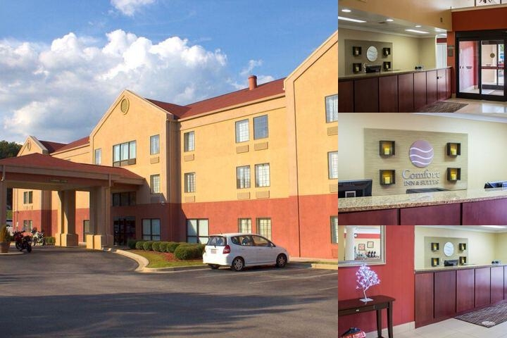 Comfort Inn & Suites Trussville I-59 exit 141 photo collage