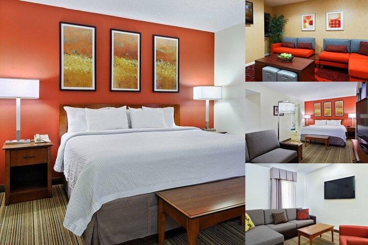 Vivo Suites Winston-Salem photo collage