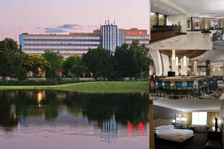 Hilton Orlando / Altamonte Springs photo collage