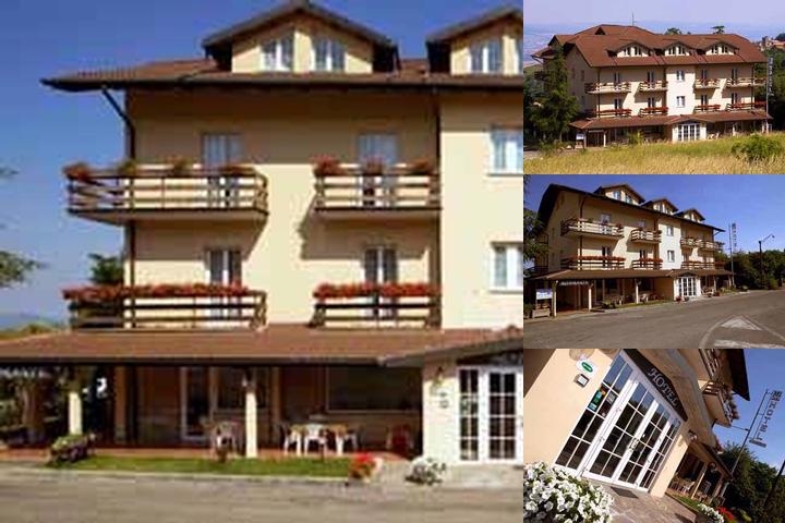 Hotel Gambrinus photo collage