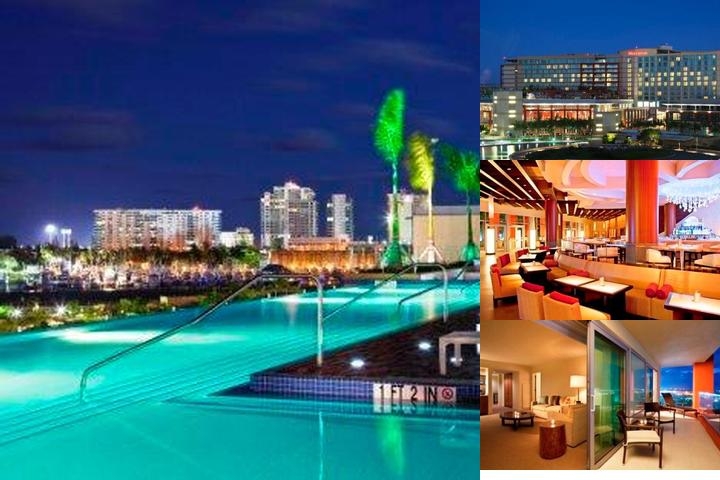 Sheraton Puerto Rico Hotel & Casino photo collage
