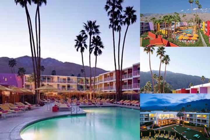 The Saguaro Hotel Palm Springs photo collage
