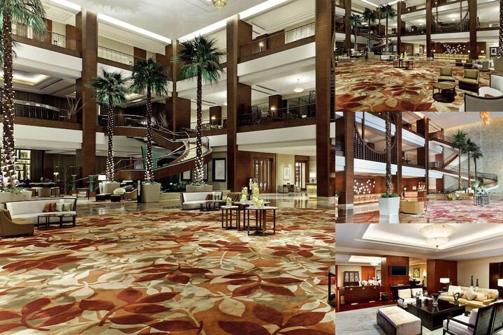 Sheraton Dongguan Hotel photo collage
