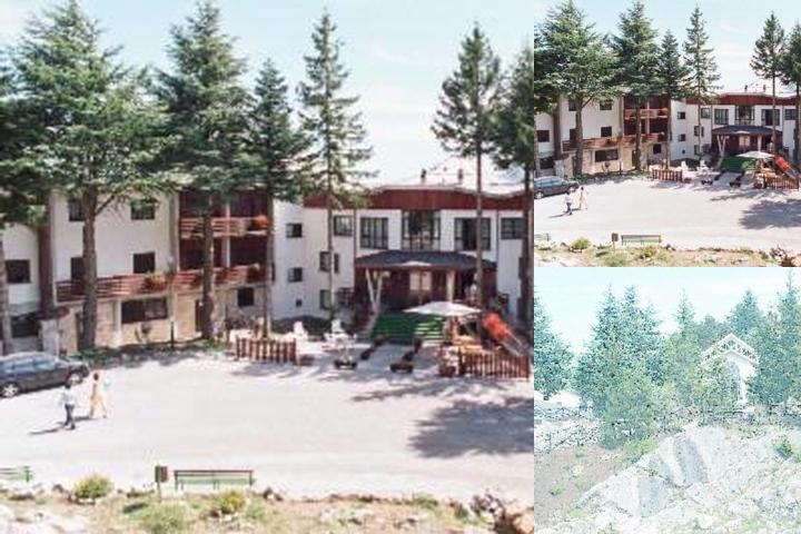 Cipriani Park Hotel photo collage