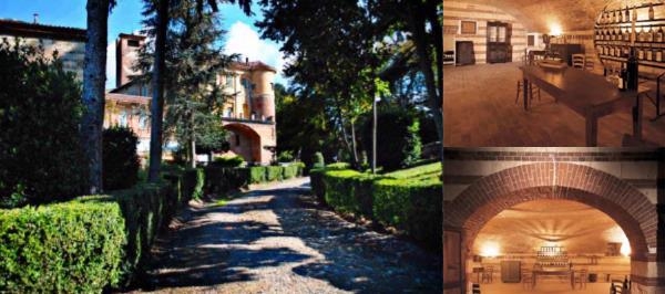 Il Castello Di Uviglie photo collage