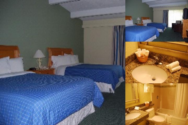 Hollywood Gateway Inn photo collage