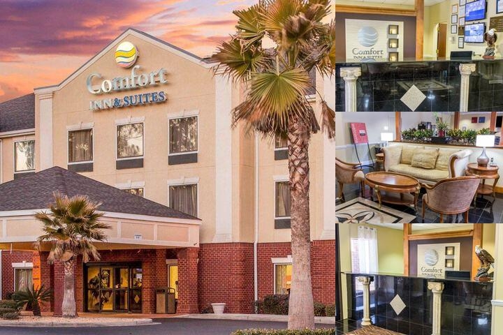 Comfort Inn & Suites Statesboro - University Area photo collage